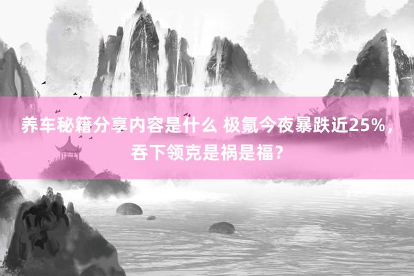 养车秘籍分享内容是什么 极氪今夜暴跌近25%，吞下领克是祸是福？