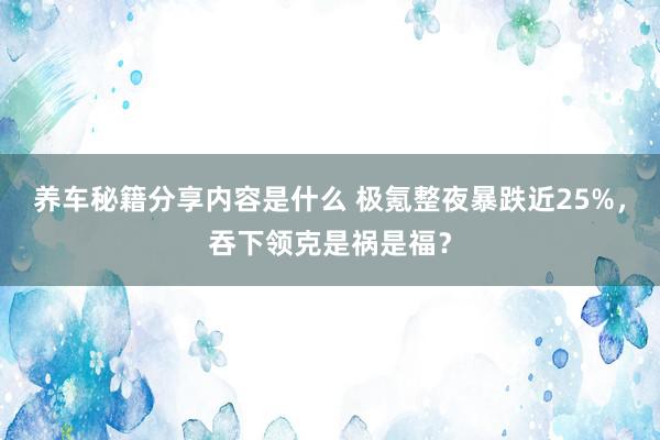 养车秘籍分享内容是什么 极氪整夜暴跌近25%，吞下领克是祸是福？