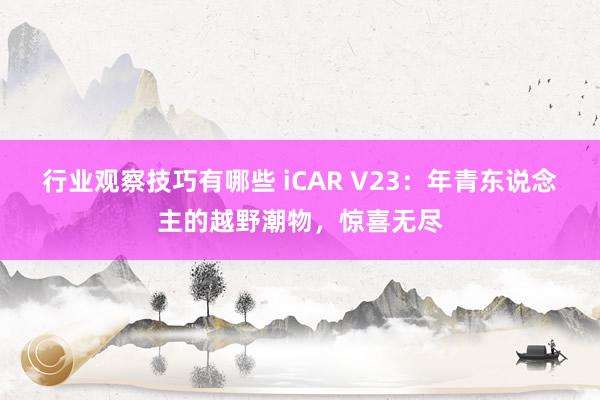 行业观察技巧有哪些 iCAR V23：年青东说念主的越野潮物，惊喜无尽