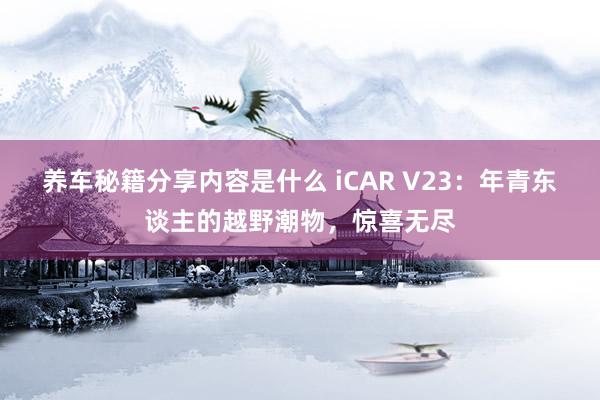 养车秘籍分享内容是什么 iCAR V23：年青东谈主的越野潮物，惊喜无尽