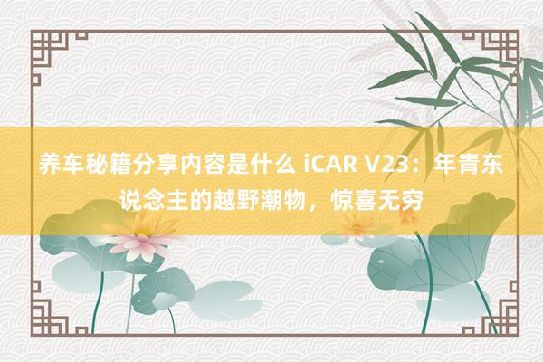 养车秘籍分享内容是什么 iCAR V23：年青东说念主的越野潮物，惊喜无穷