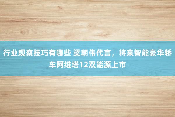 行业观察技巧有哪些 梁朝伟代言，将来智能豪华轿车阿维塔12双能源上市