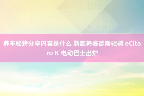 养车秘籍分享内容是什么 新款梅赛德斯驰骋 eCitaro K 电动巴士出炉