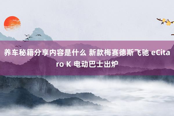 养车秘籍分享内容是什么 新款梅赛德斯飞驰 eCitaro K 电动巴士出炉