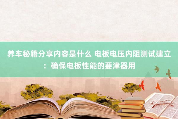 养车秘籍分享内容是什么 电板电压内阻测试建立：确保电板性能的要津器用