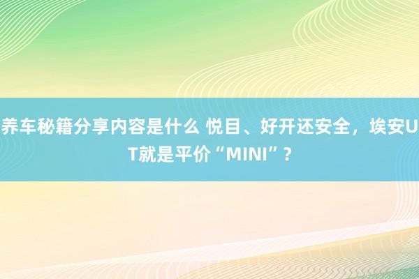 养车秘籍分享内容是什么 悦目、好开还安全，埃安UT就是平价“MINI”？