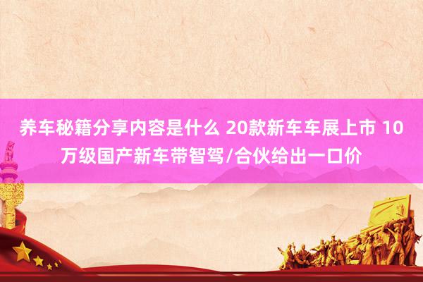 养车秘籍分享内容是什么 20款新车车展上市 10万级国产新车带智驾/合伙给出一口价