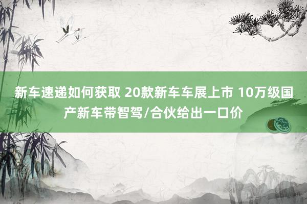 新车速递如何获取 20款新车车展上市 10万级国产新车带智驾/合伙给出一口价