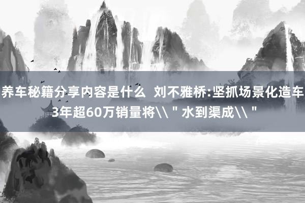 养车秘籍分享内容是什么  刘不雅桥:坚抓场景化造车 3年超60万销量将\＂水到渠成\＂