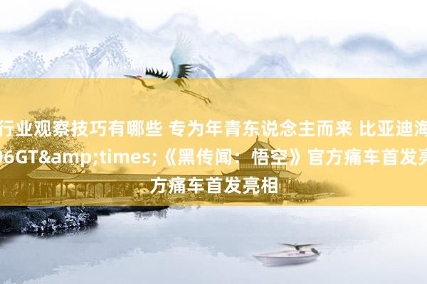 行业观察技巧有哪些 专为年青东说念主而来 比亚迪海豹06GT&times;《黑传闻：悟空》官方痛车首发亮相