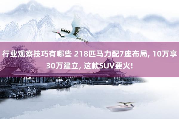 行业观察技巧有哪些 218匹马力配7座布局, 10万享30万建立, 这款SUV要火!