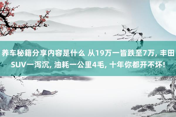 养车秘籍分享内容是什么 从19万一皆跌至7万, 丰田SUV一泻沉, 油耗一公里4毛, 十年你都开不坏!