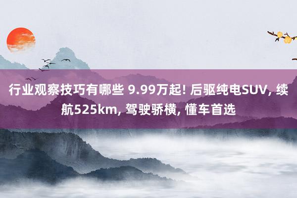 行业观察技巧有哪些 9.99万起! 后驱纯电SUV, 续航525km, 驾驶骄横, 懂车首选