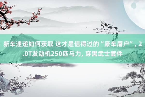 新车速递如何获取 这才是信得过的“豪车屠户”, 2.0T发动机250匹马力, 穿黑武士套件