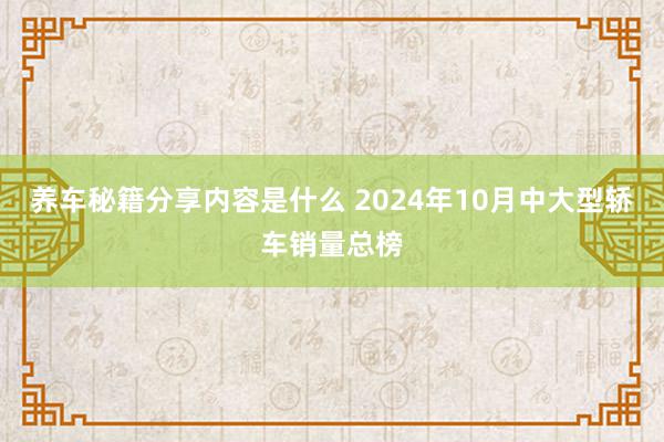 养车秘籍分享内容是什么 2024年10月中大型轿车销量总榜