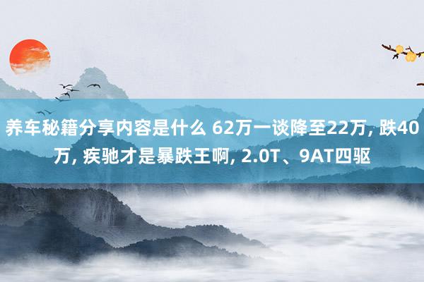 养车秘籍分享内容是什么 62万一谈降至22万, 跌40万, 疾驰才是暴跌王啊, 2.0T、9AT四驱