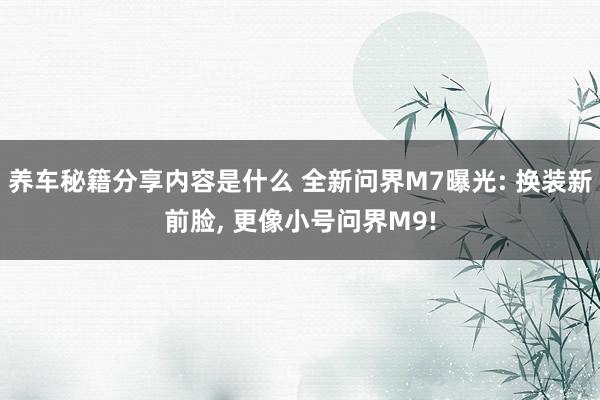 养车秘籍分享内容是什么 全新问界M7曝光: 换装新前脸, 更像小号问界M9!