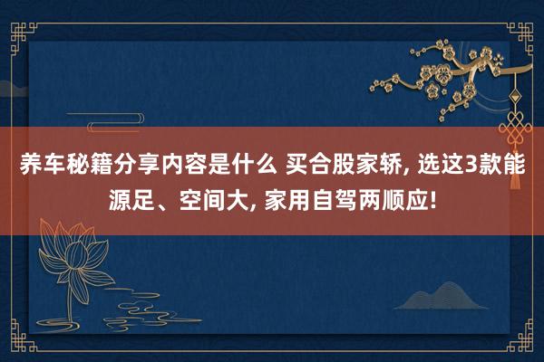 养车秘籍分享内容是什么 买合股家轿, 选这3款能源足、空间大, 家用自驾两顺应!