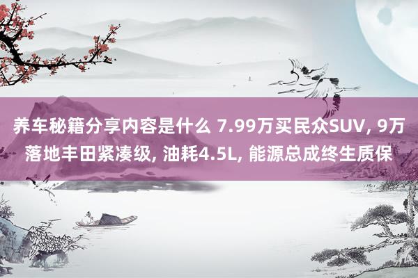 养车秘籍分享内容是什么 7.99万买民众SUV, 9万落地丰田紧凑级, 油耗4.5L, 能源总成终生质保