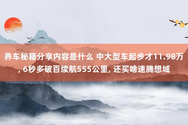 养车秘籍分享内容是什么 中大型车起步才11.98万, 6秒多破百续航555公里, 还买啥速腾想域