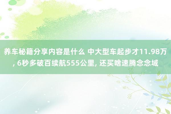 养车秘籍分享内容是什么 中大型车起步才11.98万, 6秒多破百续航555公里, 还买啥速腾念念域