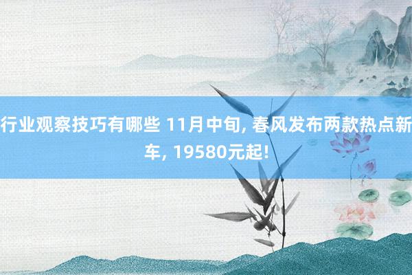 行业观察技巧有哪些 11月中旬, 春风发布两款热点新车, 19580元起!