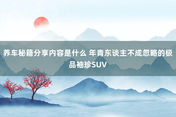 养车秘籍分享内容是什么 年青东谈主不成忽略的极品袖珍SUV