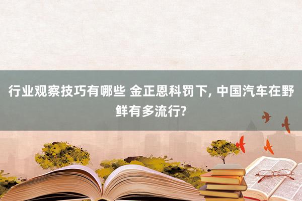 行业观察技巧有哪些 金正恩科罚下, 中国汽车在野鲜有多流行?