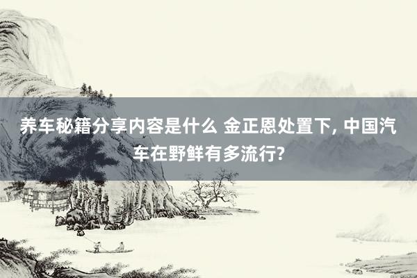 养车秘籍分享内容是什么 金正恩处置下, 中国汽车在野鲜有多流行?