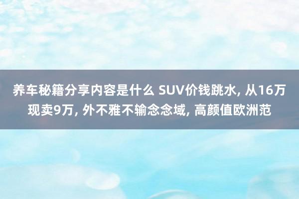 养车秘籍分享内容是什么 SUV价钱跳水, 从16万现卖9万, 外不雅不输念念域, 高颜值欧洲范