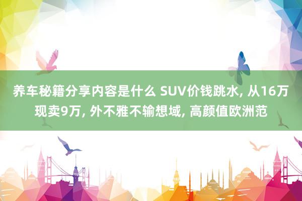 养车秘籍分享内容是什么 SUV价钱跳水, 从16万现卖9万, 外不雅不输想域, 高颜值欧洲范