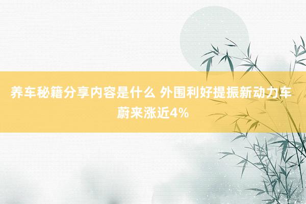 养车秘籍分享内容是什么 外围利好提振新动力车 蔚来涨近4%