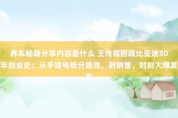 养车秘籍分享内容是什么 王传福回顾比亚迪30年创业史：从手搓电板分娩线，到销售、时刻大爆发