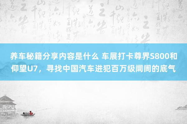 养车秘籍分享内容是什么 车展打卡尊界S800和仰望U7，寻找中国汽车进犯百万级阛阓的底气