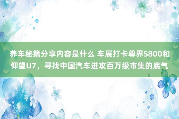 养车秘籍分享内容是什么 车展打卡尊界S800和仰望U7，寻找中国汽车进攻百万级市集的底气