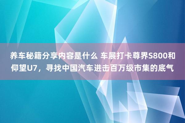 养车秘籍分享内容是什么 车展打卡尊界S800和仰望U7，寻找中国汽车进击百万级市集的底气