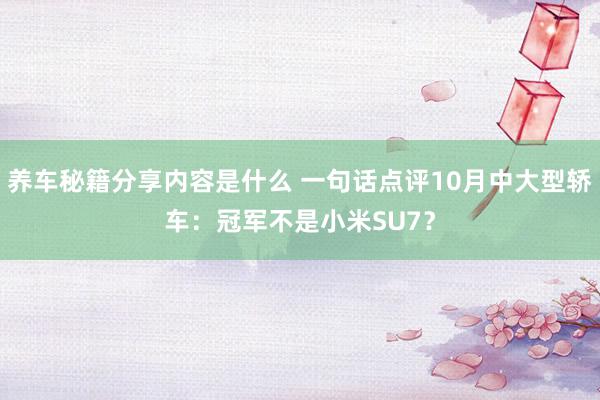 养车秘籍分享内容是什么 一句话点评10月中大型轿车：冠军不是小米SU7？