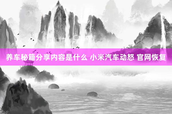 养车秘籍分享内容是什么 小米汽车动怒 官网恢复