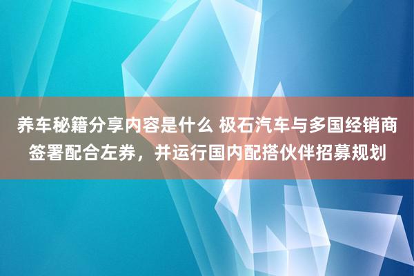 养车秘籍分享内容是什么 极石汽车与多国经销商签署配合左券，并运行国内配搭伙伴招募规划