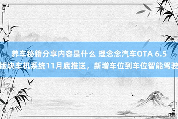 养车秘籍分享内容是什么 理念念汽车OTA 6.5版块车机系统11月底推送，新增车位到车位智能驾驶