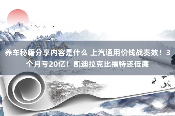 养车秘籍分享内容是什么 上汽通用价钱战奏效！3个月亏20亿！凯迪拉克比福特还低廉