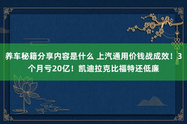 养车秘籍分享内容是什么 上汽通用价钱战成效！3个月亏20亿！凯迪拉克比福特还低廉