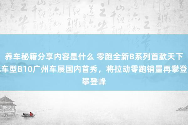 养车秘籍分享内容是什么 零跑全新B系列首款天下化车型B10广州车展国内首秀，将拉动零跑销量再攀登峰