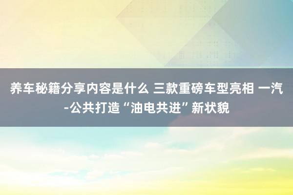 养车秘籍分享内容是什么 三款重磅车型亮相 一汽-公共打造“油电共进”新状貌