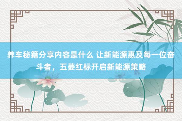 养车秘籍分享内容是什么 让新能源惠及每一位奋斗者，五菱红标开启新能源策略