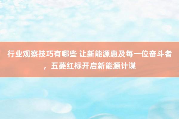 行业观察技巧有哪些 让新能源惠及每一位奋斗者，五菱红标开启新能源计谋