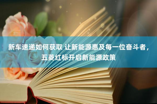 新车速递如何获取 让新能源惠及每一位奋斗者，五菱红标开启新能源政策