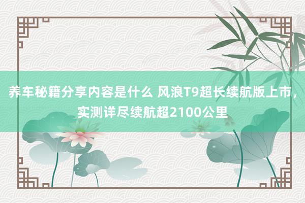 养车秘籍分享内容是什么 风浪T9超长续航版上市，实测详尽续航超2100公里