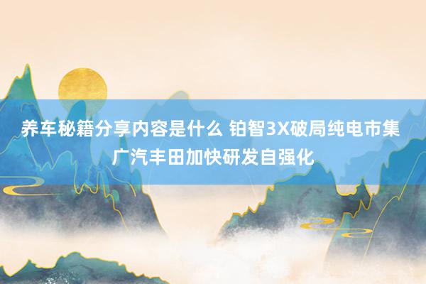 养车秘籍分享内容是什么 铂智3X破局纯电市集 广汽丰田加快研发自强化