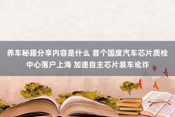 养车秘籍分享内容是什么 首个国度汽车芯片质检中心落户上海 加速自主芯片装车讹诈